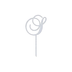 Elegant 'S' monogram cake topper in a swirl script design, crafted from high-quality aluminum with a natural finish, measuring 6 inches wide and 12 inches high.